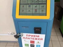 ИП Фледан Н.В. Платежный терминал в Томске