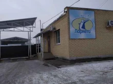 группа компаний Ларнета в Дзержинске