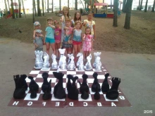 клуб Шахматная Пермь в Перми