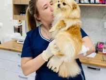 ветеринарная клиника 9 жизней в Ульяновске