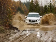 официальный дилер Toyota Toyota Восток Моторс в Ноябрьске