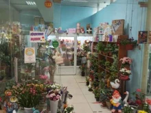 Садово-парковая мебель / Аксессуары Магазин цветов и садовых скульптур в Оренбурге