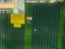 Золотой петушок, Победы, 8 