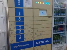 автоматизированный пункт выдачи OZON Box в Сочи