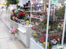 Садово-парковая мебель / Аксессуары Магазин цветов в Оренбурге