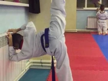 Спортивные секции Спортивная секция Тхэквондо в Уссурийске