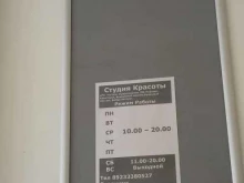 Ленинский район Студия красоты в Красноярске