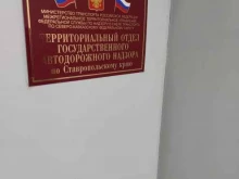 Органы государственного надзора Территориальный отдел государственного автодорожного надзора по Ставропольскому краю в Ставрополе