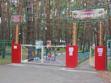 детский оздоровительный лагерь Сосновый Бор в Белгороде