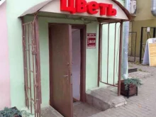 салон Театр цветов в Владимире