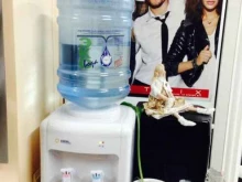 компания питьевой воды ЭКО вода в Иваново