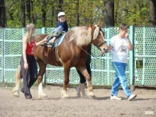 спортивно-оздоровительный конный клуб Мой Талисман в Ульяновске