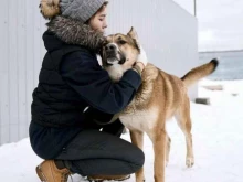 Приюты для животных Супер собака в Москве