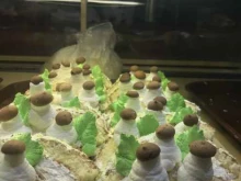 кулинария Плюшки к чаю в Перми