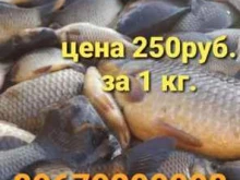 Рыба / Морепродукты Рыбный дворик в Якутске