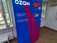 автоматизированный пункт выдачи Ozon box в Омске