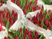 цветочная база Mega flora в Тюмени