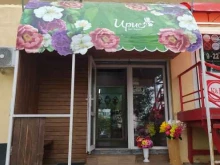 цветочный магазин Ирис в Волгодонске