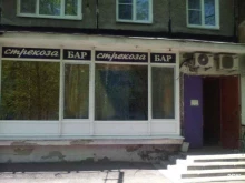 бар Стрекоза в Нижнем Новгороде