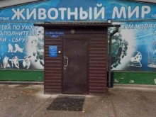 склад-магазин Животный мир в Красноярске