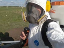 Новый Мир, улица Грязнова, 2 