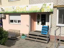 салон цветов Red в Саратове