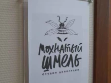 школа-студия депиляции Мохнатый шмель в Комсомольске-на-Амуре