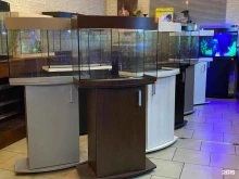 магазин аквариумных рыбок Gidras в Краснодаре