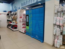 Cainiao, Кутателадзе, 4/4 