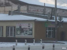 Иви в Иркутске