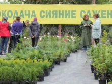 садовый центр Экодача в Кургане