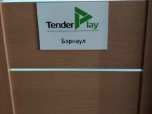Организация и проведение тендеров / аукционов TenderPlay в Барнауле