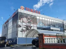 Yamaha в Сургуте