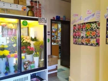 Сувениры Магазин цветов и семян в Архангельске