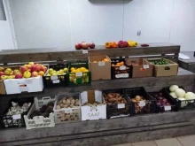 Быстрое питание Киоск быстрого питания в Коломне