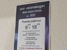 энергоснабжающая организация Боравица в Барнауле