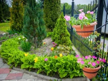 медицинский центр Клиника Здоровья в Калининграде