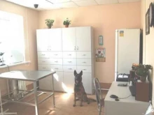 ветеринарная клиника Медведица в Иваново