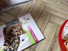 ветеринарная клиника EnZoo в Буйнакске