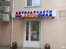 магазин автозапчастей Автосила в Воронеже
