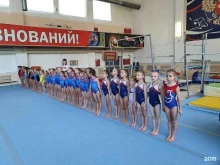 Спортивные школы СШОР №4 по спортивной гимнастике в Челябинске