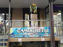 Самоцветы, Атарбекова, 24 