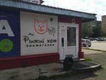 зоомагазин Рыжий кот в Тольятти