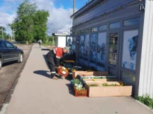 Садово-огородный инвентарь / техника Магазин садовых товаров и цветов в Перми