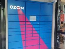 автоматизированный пункт выдачи OZON Box в Иннополисе