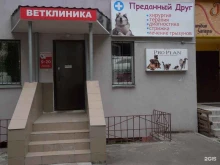 ветеринарная клиника Преданный друг в Казани