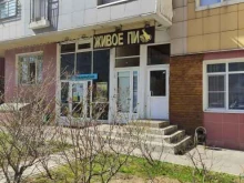 магазин разливных напитков Живое пиво в Балашихе