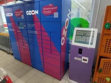 автоматизированный пункт выдачи Ozon box в Копейске