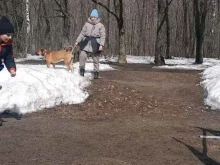 Клуб собаководства Федерация спортивно-прикладного собаководства в Пензе