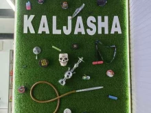 Ремонт электронных сигарет Kaljasha в Оренбурге